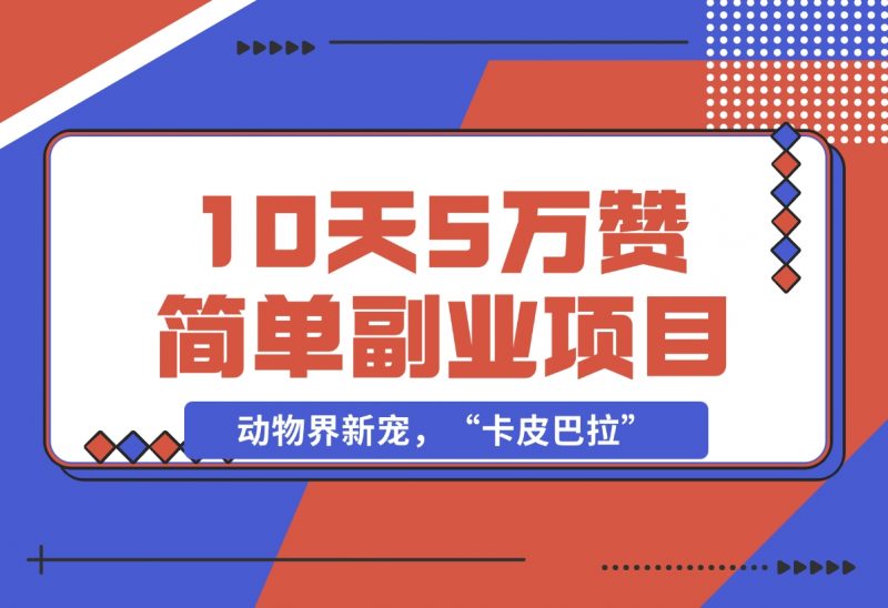 【2024.12.01】动物界新宠，“卡皮巴拉”是什么东西，10天5万赞，萌翻一片，管道收益，简单副业项目-朝晞项目网
